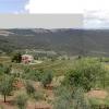 7-17 - Montalcino Panorama (large)