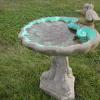 DSCN3522 (Motel's Birdbath)