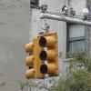 2002-10-15 Pigeons and a Traffic Light
